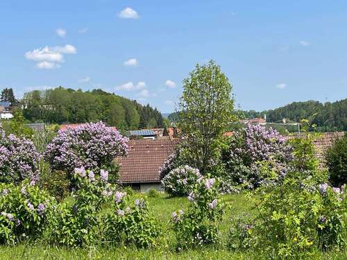 Foto - Grundstück zu verkaufen in Löffingen 215.000,00 € 1002 m²