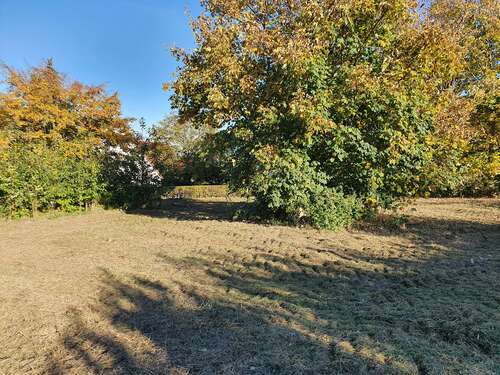 Foto - Grundstück zu verkaufen in Lübbecke 125.000,00 € 1704 m²