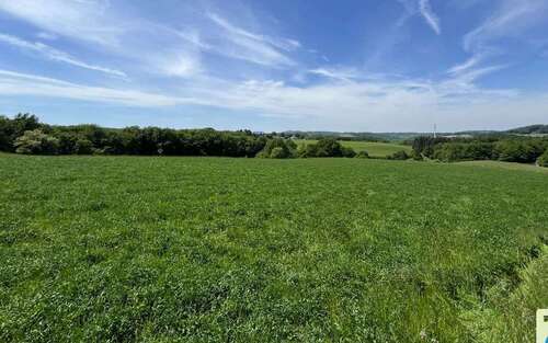 Foto - Grundstück zu verkaufen in Buchholz 112.500,00 € 750 m²