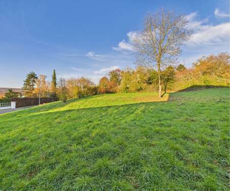 Foto - Grundstück zu verkaufen in Wiesbaden 2.290.000,00 € 1907 m²