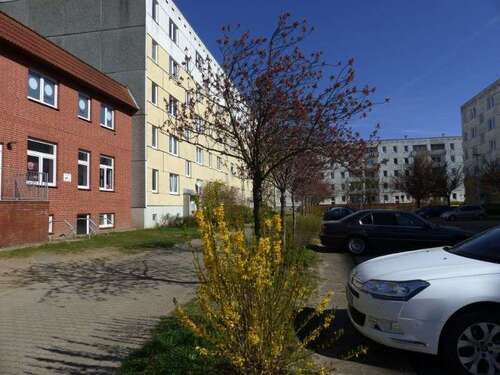 Foto - Wohnung zum Mieten in Schwerin 389,00 € 58.18 m²