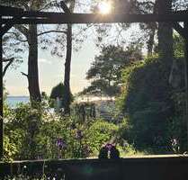 Haus zum Kaufen in Meesiger 50.000,00 € 35 m²