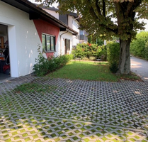 Halle in Mainz 2.500,00 € 229 m²