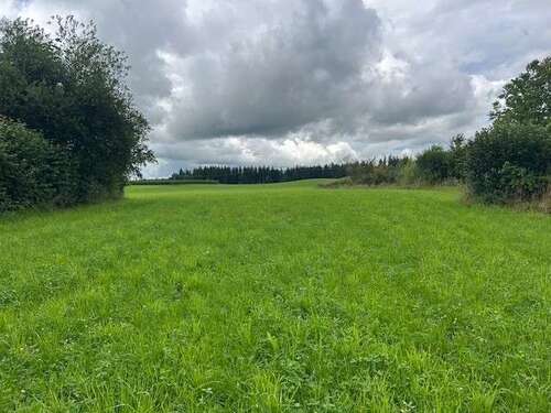 Foto - Grundstück zu verkaufen in Eggstätt 585.000,00 € 751 m²
