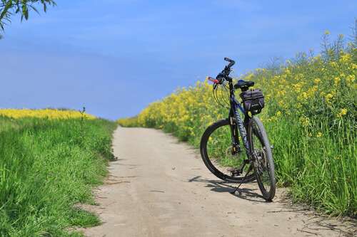 Foto - Wohnung zum Mieten in Warnkenhagen 540,00 € 60 m²