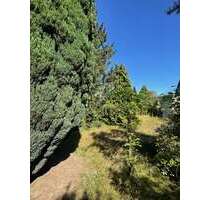 Grundstück zu verkaufen in Hamburg 399.000,00 € 837.8 m²