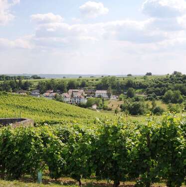 Foto - Haus zum Mieten in Eltville am Rhein 2.750,00 € 183 m²