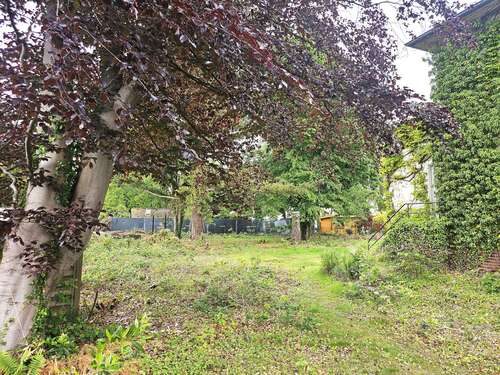 Foto - Grundstück zu verkaufen in Bergisch Gladbach 435.000,00 € 439 m²