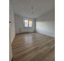 Wohnung zum Mieten in Pasewalk 527,00 € 62 m²
