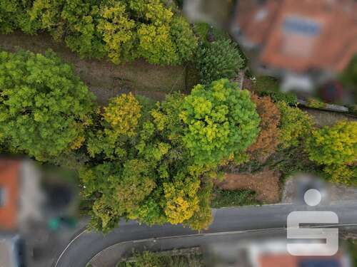 Foto - Grundstück zu verkaufen in Randersacker 77.000,00 € 236 m²