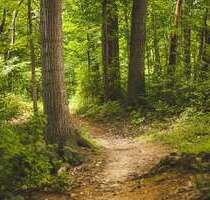 Grundstück in Westerkappeln 38.900,00 € 7744 m²