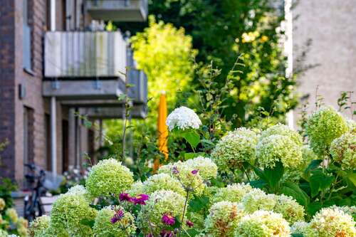 Foto - Wohnung zum Mieten in Hamburg 309,70 € 43.62 m²