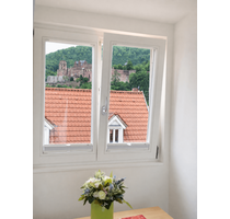 Haus zum Kaufen in Heidelberg 1.580.000,00 € 253 m²