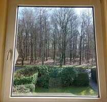 Wohnung zum Mieten in Remscheid 1.020,00 € 136 m²