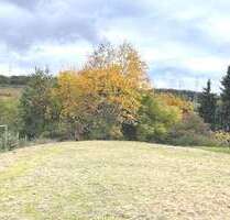 Grundstück zu verkaufen in Eppstein 329.500,00 € 555 m²