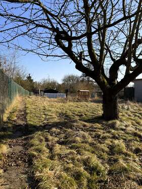 Foto - Grundstück zu verkaufen in Strasburg 14.900,00 € 570 m²