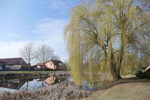 Foto - Grundstück zu verkaufen in niederjesar 65.000,00 € 2986 m²