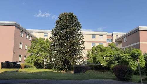 Foto - Wohnung zum Kaufen in Duisburg 165.000,00 € 75 m²
