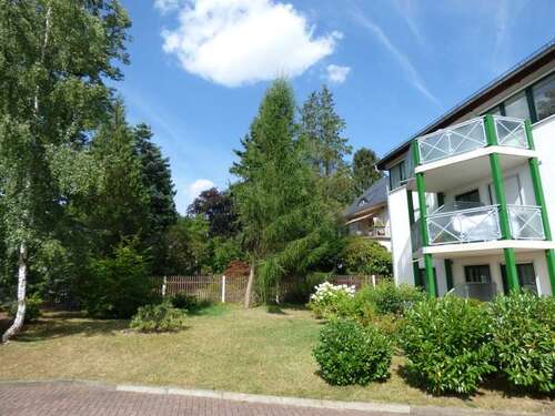 Foto - Wohnung zum Mieten in Chemnitz 500,00 € 65 m²