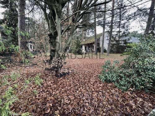 Foto - Haus zum Kaufen in Hambühren Oldau 300.000,00 € 86.94 m²