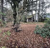 Haus zum Kaufen in Hambühren Oldau 300.000,00 € 86.94 m² - Hambühren / Oldau