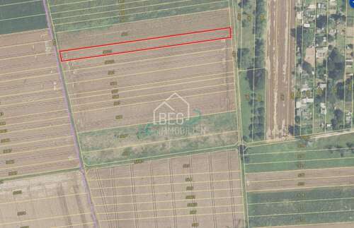 Foto - Grundstück zu verkaufen in Marbach 10.556,00 € 2639 m²