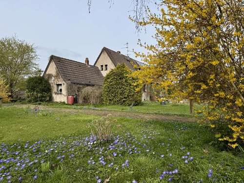 Foto - Haus zum Kaufen in Krefeld Oppum 398.000,00 € 100 m²