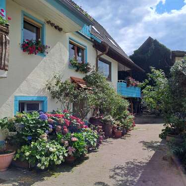 Foto - Haus zum Kaufen in Herbolzheim 795.000,00 € 220 m²