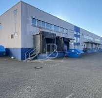 Halle in Schifferstadt 4.300.000,00 € 5000 m²
