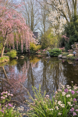 Foto - Haus zum Kaufen in Kempen 699.000,00 € 322.59 m²