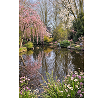 Haus zum Kaufen in Kempen 699.000,00 € 322.59 m²