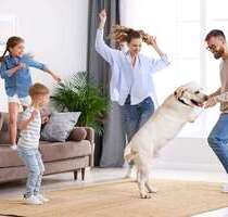 Haus zum Kaufen in Königs Wusterhausen 499.000,00 € 110 m²