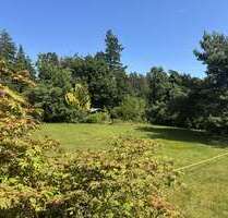 Grundstück zu verkaufen in Swisttal 430.000,00 € 1559 m²