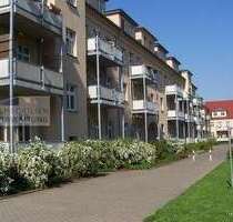 Wohnung zum Mieten in Dresden 383,00 € 51 m²