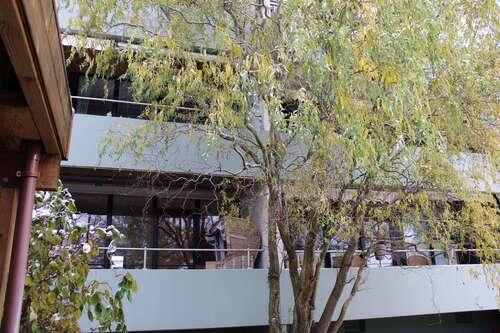 Foto - Wohnung zum Mieten in Langenhagen 756,00 € 77.13 m²