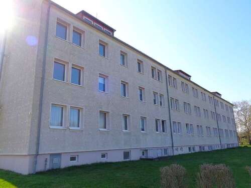 Foto - Wohnung zum Mieten in Buschenhagen 266,00 € 40.77 m²