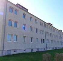 Wohnung zum Mieten in Buschenhagen 266,00 € 40.77 m²