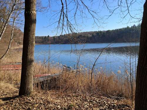 Foto - Haus zum Kaufen in Neuzelle 69.000,00 € 50 m²