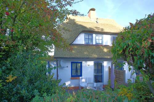 Foto - Wohnung zum Kaufen in Born a. Darß 335.000,00 € 69 m²