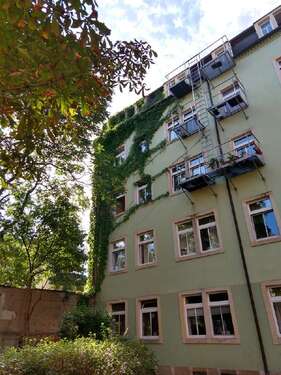 Foto - Wohnung zum Mieten in Dresden 500,00 € 42 m²