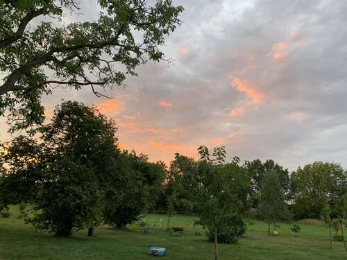 Foto - Wohnung zum Mieten in Münster 2.580,00 € 190 m²