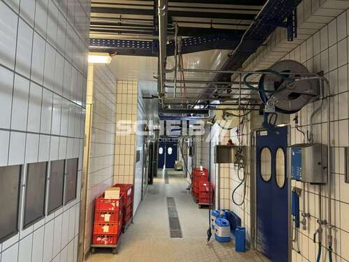 Foto - Halle in Frankenhardt 7.000,00 € 2000 m²