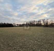 Grundstück zu verkaufen in Gieshof-Zelliner Loose 60.000,00 € 4384 m²