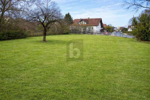 Foto - Grundstück zu verkaufen in Buttenheim 425.000,00 € 978 m²