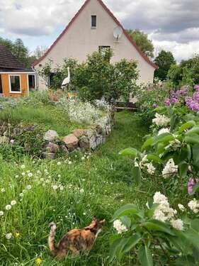 Foto - Haus zum Kaufen in Altwigshagen 159.000,00 € 80 m²
