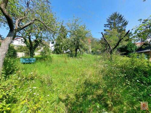 Foto - Grundstück zu verkaufen in Kassel 340.000,00 € 1429 m²