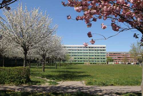 Foto - Wohnung zum Mieten in Bernburg 388,52 € 70.64 m²