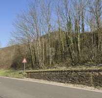 Grundstück zu verkaufen in Bullay 49.500,00 € 531 m²