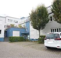 Wohnung zum Mieten in Mainz 320,00 € 17 m²