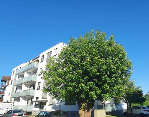 Foto - Wohnung zum Mieten in Heusenstamm 540,00 € 38 m²